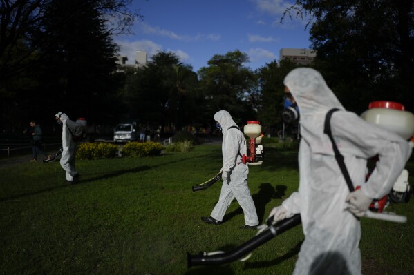 A brigade fumigates to combat dengue amid a surge in cases nationwide in Buenos Aires, Argentina, Tuesday, March 26, 2024. (AP Photo/Natacha Pisarenko)