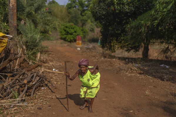 A woman, from the Durua tribe, which is part of the Indigenous Adivasis communities, walks toward her house in Pongan Pani village, Koraput district, in India's eastern state of Odisha, Wednesday, April 16, 2025. (AP Photo/Rafiq Maqbool)