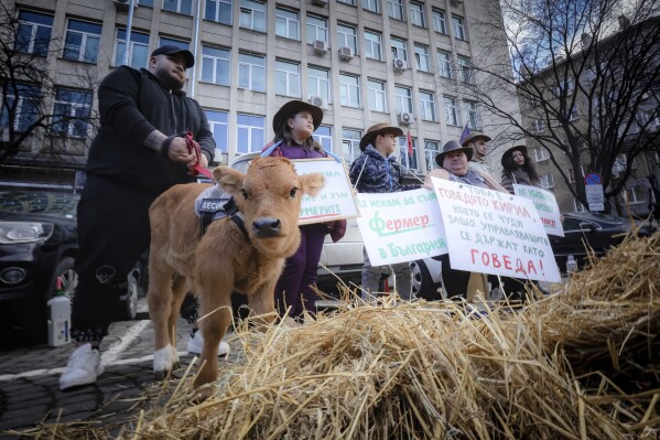 Bulgarian farmers family hold posters reading: 