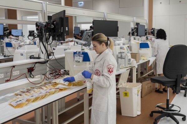 FILE - Staff work at the Magen David Adom's (MDA) Marcus National Blood Services Center, in Ramla, Israel, Sunday, Oct. 29, 2023. The blood bank and processing center is a subterranean and shielded facility that became operational a few days before Oct. 7, when Hamas launched a deadly attack on Israeli areas near the border with the Gaza Strip. (AP Photo/Bernat Armangue, File)