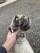 This photo provided by Minnesota Department of Natural Resources. shows the paw of a cougar that was struck and killed on an interstate highway, Wednesday, Dec. 6, 2023 on Interstate 394 in Golden Valley, Minn. A Minnesota wildlife official says that the cougar that was struck and killed in suburban Minneapolis was more than likely the same animal captured on home security video sauntering across a driveway earlier this week.(Minnesota Department of Natural Resources via 鶹ýapp)