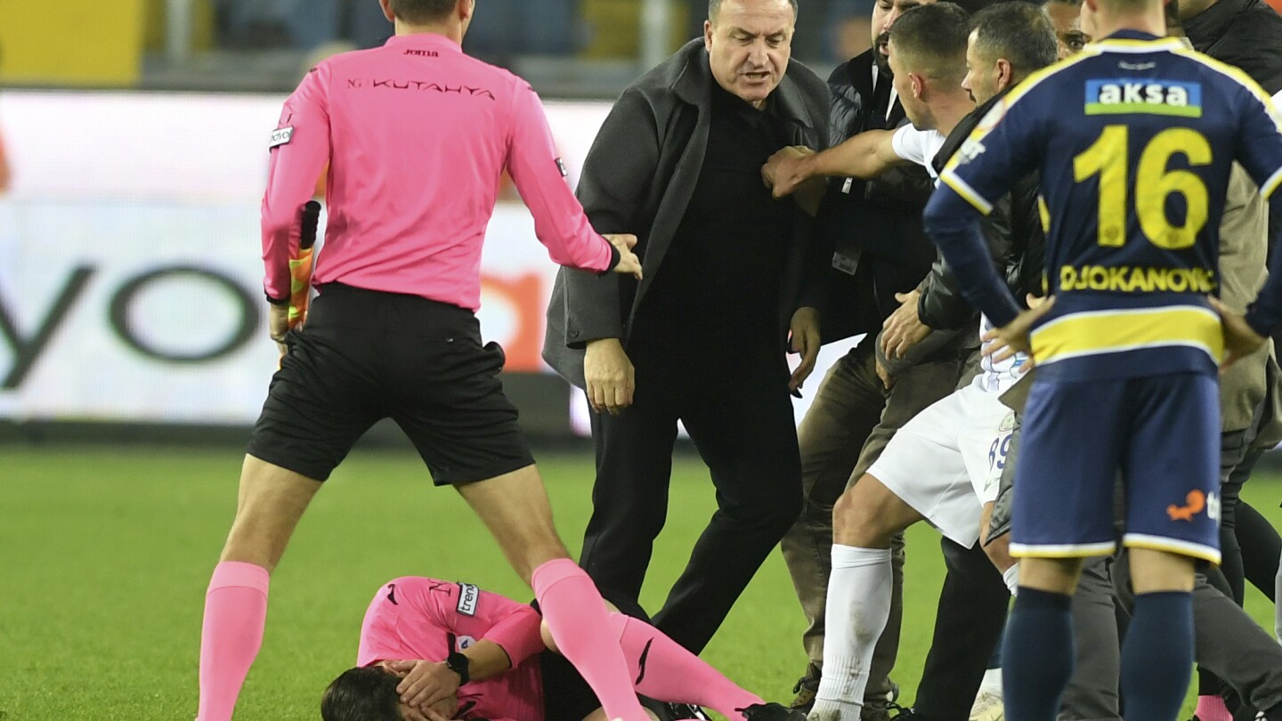 Turkish club president arrested and league games suspended after referee is punched at match