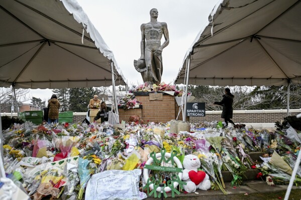 FILE - Volunteers work to clean up the memorial site at the Sparty statue, March 2, 2023, on campus at Michigan State University in East Lansing, Mich. New gun laws take effect Tuesday, Feb. 13, 2024, in Michigan on the one-year anniversary of a shooting at Michigan State University that claimed the lives of three students and left five in critical condition. (Nick King/Lansing State Journal via AP, File)