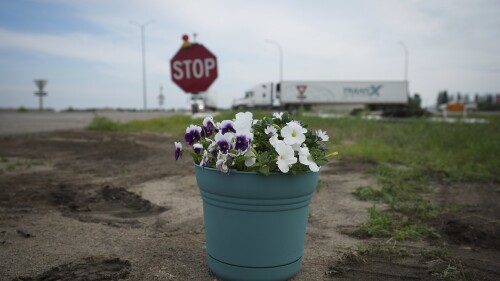 A pot of flowers marks an area where a bus carrying seniors to a casino ended up after colliding with a semi-trailer truck and burning on Thursday on the edge of the Trans-Canada Highway near Carberry, Manitoba, Friday, June 16, 2023. Police said 15 people were killed and 10 more were sent to hospital. (Darryl Dyck/The Canadian Press via AP)