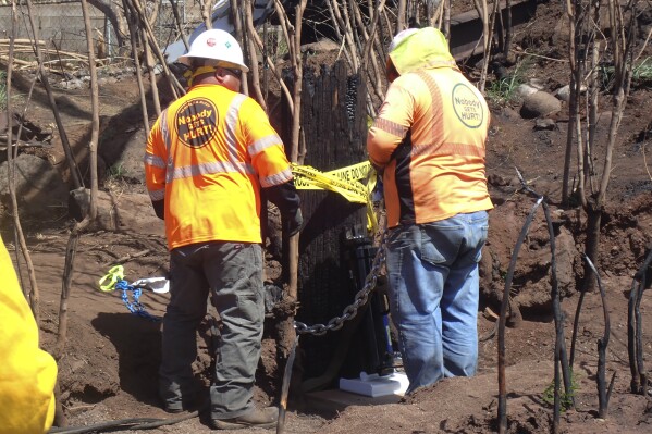In this photo provided by the Morgan & Morgan law firm, utility contractors remove a charred Hawaiian Electric utility pole stump in Lahaina, Maui, Hawaii on Aug. 29, 2023. Investigators are examining this and other pieces of evidence as they seek to solve the mystery of how a small, wind-whipped fire sparked by downed power lines and declared extinguished flare up again hours later into a devastating inferno. (Morgan & Morgan via AP)