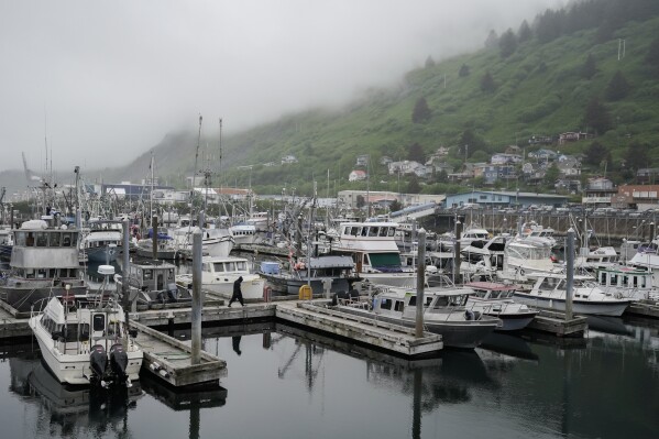 A person walks across the dock at St. Paul Harbor, Thursday, June 22, 2023, in Kodiak, Alaska. Crab fishermen in Alaska have been scrambling to stay afloat after two years of the Bering Sea fishery being closed or severely curtailed due to plummeting crab numbers. (AP Photo/Joshua A. Bickel)