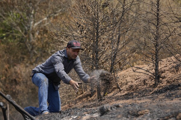 Brazil drought threatens coffee production and prices