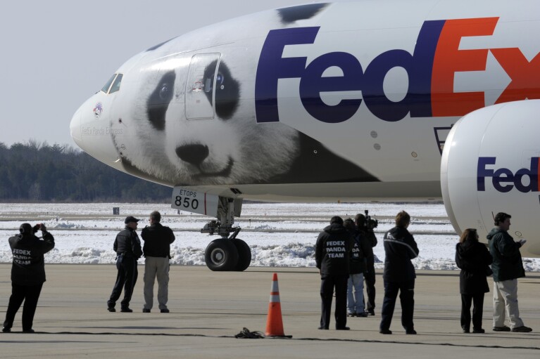 FILE - People watch as the plane carrying giant pandas Mei Lan of Atlanta, and Tai Shan of Washington, taxi for departure for a trip to China, Feb. 4, 2010, in Chantilly, Va. (AP Photo/Susan Walsh, File)