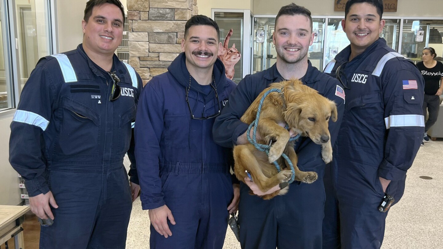 Куче е спасено след повече от седмица, затворено в контейнер за кораби в пристанището на Тексас
