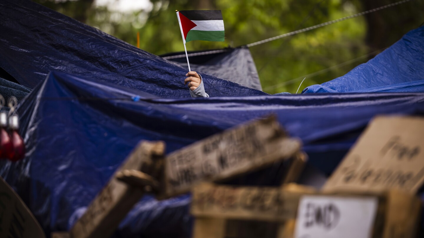 Private groups identify, report student protesters for deportation