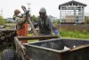 Joseph Moses, left, and and Thomas Noatak attach a honey bucket to an ATV before traveling to the village landfill, Friday, Aug. 18, 2023, in Akiachak, Alaska. Joseph and Thomas collect and remove garbage and human waste from village streets each morning. (AP Photo/Tom Brenner)