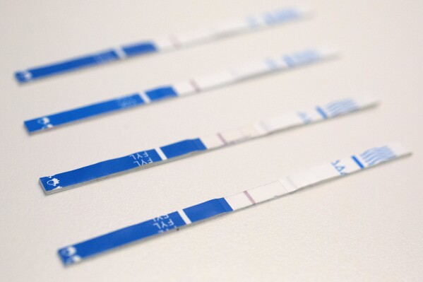 FILE - This May 10, 2018, file photo shows an arrangement of fentanyl test strips in New York. Kentucky Gov. Andy Beshear says Kentucky has made gains in battling the drug epidemic. The governor pointed to efforts in “breaking down the stigma” to reach out for treatment. His comments came Thursday, June 15, 2023 while he released statistics showing overdose fatalities declined but remain high. (AP Photo/Mark Lennihan, File)