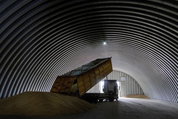 FILE - A dump track unloads grain in a granary in the village of Zghurivka, Ukraine, Aug. 9, 2022. A wartime agreement that allowed grain shipments from Ukraine to resume and helped temper global food prices will be extended by 120 days, the United Nations and other parties to the deal say on Thursday, Nov. 17. (AP Photo/Efrem Lukatsky, File)