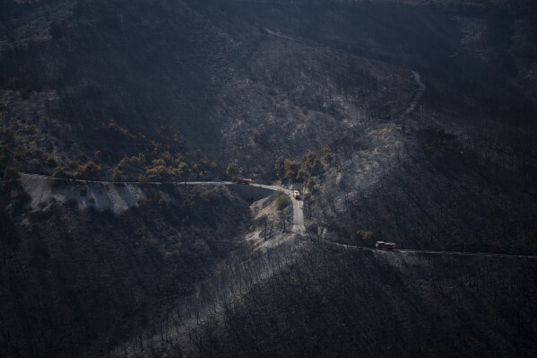 Firetrucks are seen on a road in burned forest near the Fyli suburb, northwest Athens, Greece, Friday, Aug. 25, 2023. Authorities battling a major wildfire in northeastern Greece that has been described as the European Union's largest single fire recorded have recovered another body, the fire department says, bringing the total death toll of wildfires in Greece this week to 21. (AP Photo/Michael Varaklas)