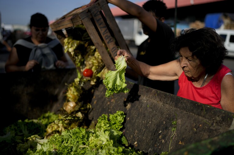 An elderly woman looks for discarded vegetables that are good enough to take home, at a market on the outskirts of Buenos Aires, Argentina, Wednesday, Jan. 10, 2024. (AP Photo/Natacha Pisarenko)