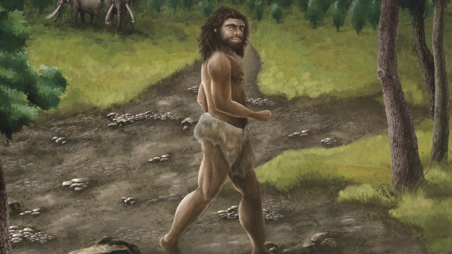 Ancient jawbone from Taiwan belongs to a mysterious group of human ancestors, scientists say