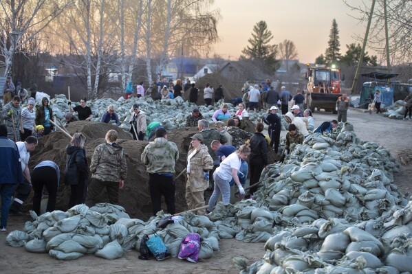 Local residents and volunteers prepare sandbags to strengthen the dam toward a flooded area in Ishim, Tyumen region, 1968 km (1230 miles) east of Moscow, Russia, on Sunday, April 21, 2024. The situation with floods in Russia's Tyumen Region remains tense, with the level of water in the Ishim River having exceeded 10.5 meters, (AP Photo/Sergei Rusanov)
