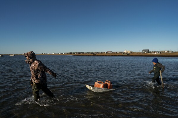 FILE - Pulling a sled with fuel containers in the lagoon, Joe Eningowuk, 62, left, and his 7-year-old grandson, Isaiah Kakoona, head toward their boat through the shallow water while getting ready for a two-day camping trip in Shishmaref, Alaska, Oct. 1, 2022. Revved-up climate change now permeates Americans’ daily lives with harm that is “already far-reaching and worsening across every region of the United States," a massive new government report says Tuesday, Nov. 14. (AP Photo/Jae C. Hong, File)