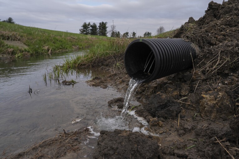 Water runs out of a drain under an agricultural field, Tuesday, April 9, 2024, in Sabina, Ohio. These tiles are large perforated plastic pipes about 3 feet (1 meter) below the soil that collect water and carry it away, usually to a canal between fields. (AP Photo/Joshua A. Bickel)