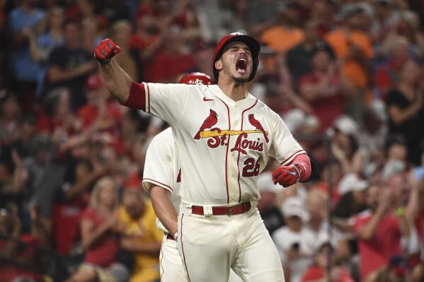 St. Louis Cardinals on X: Nolan Arenado is the 7th player to hit