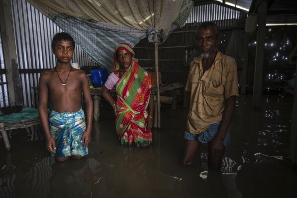 Yaad Ali, 55, right, and his wife Monuwara Begum, 45, center, and Musikur Alam, 14, stand in their submerged house in Sandahkhaiti, a floating island village in the Brahmaputra River in Morigaon district, Assam, India, Wednesday, Aug. 30, 2023. (APPhoto/Anupam Nath)