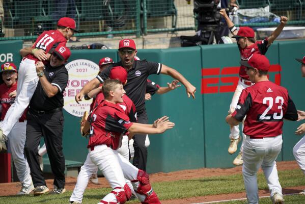 Michigan wins 2021 Little League World Series