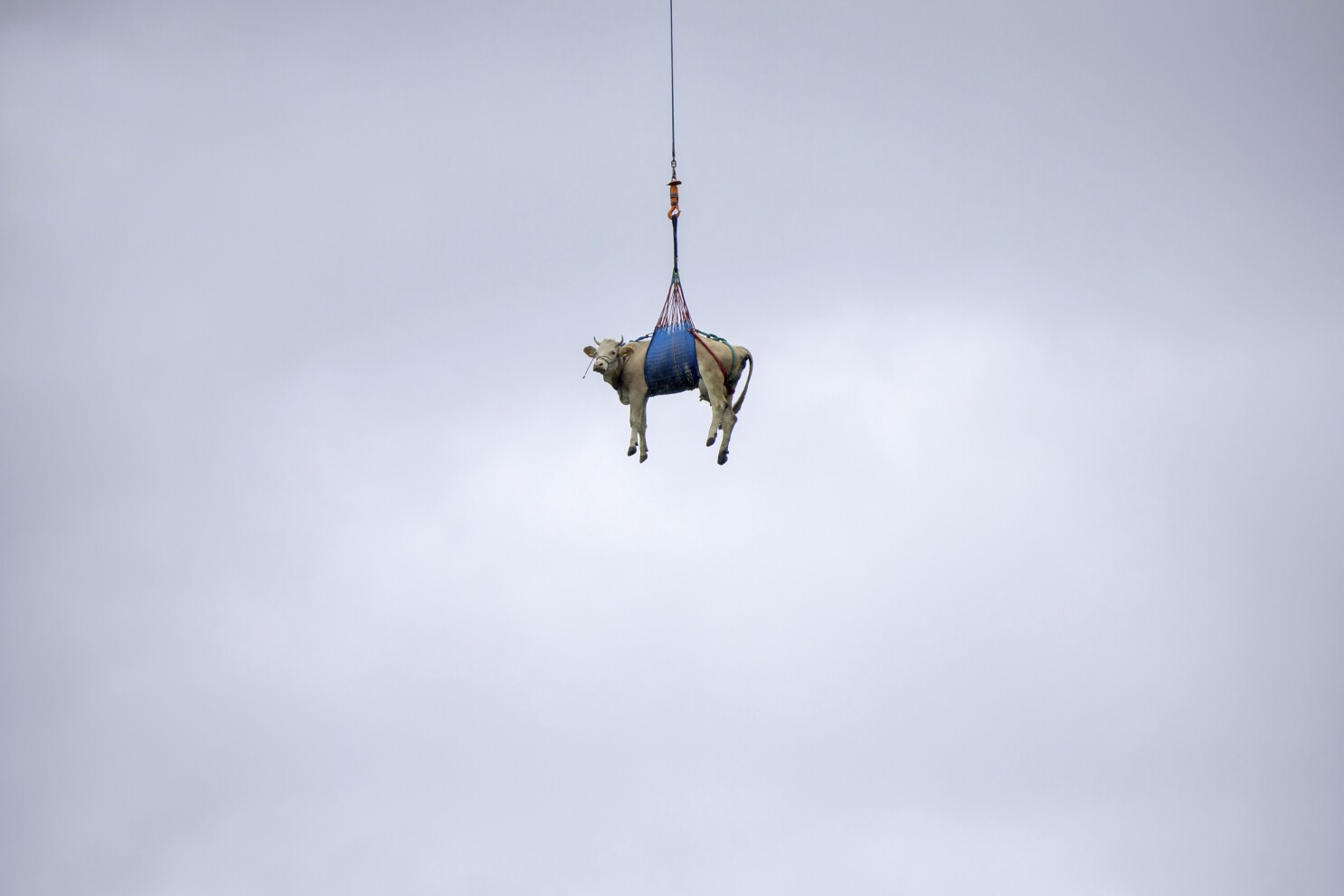Swiss evacuate livestock by hoof and helicopter because of landslide risk over Alpine village