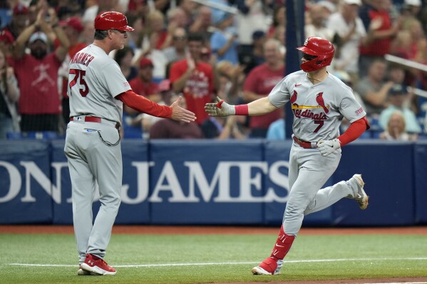 Cardinals' Adam Wainwright has fun as TV station lists him with Blues