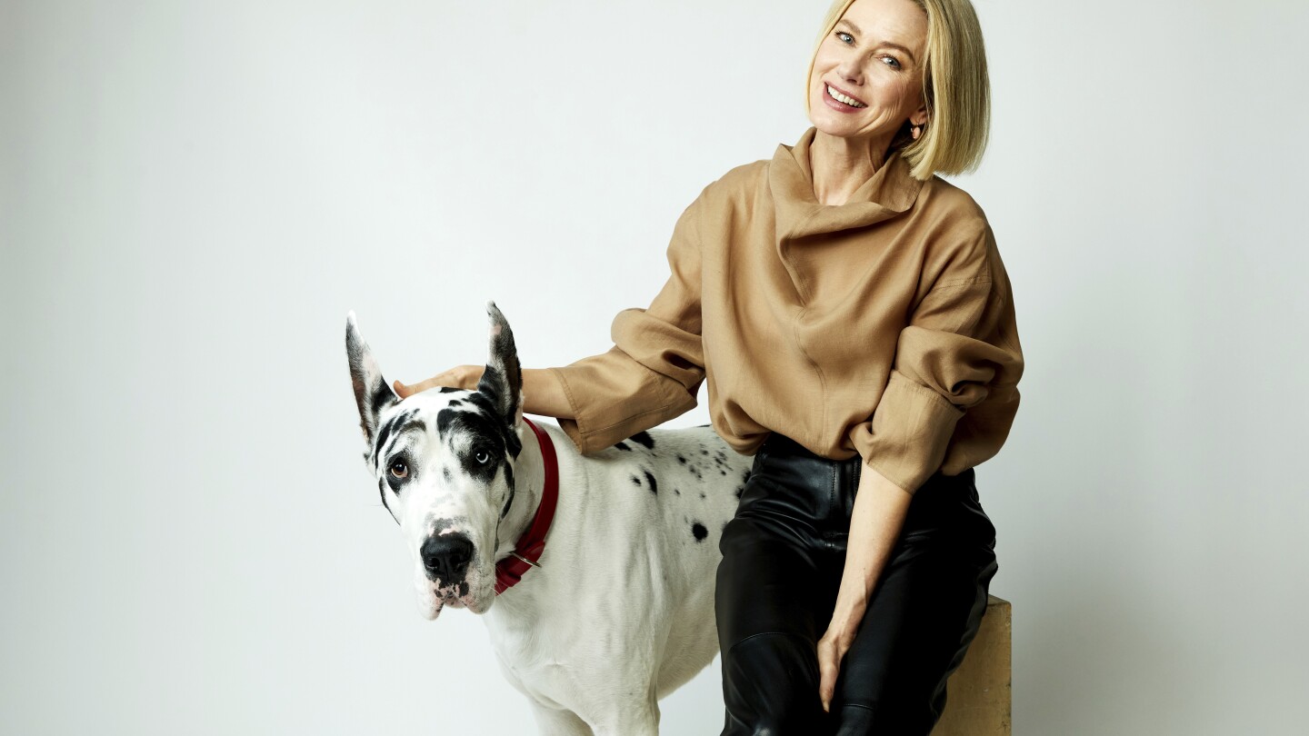 'The Friend': When the star of the movie is a very good boy