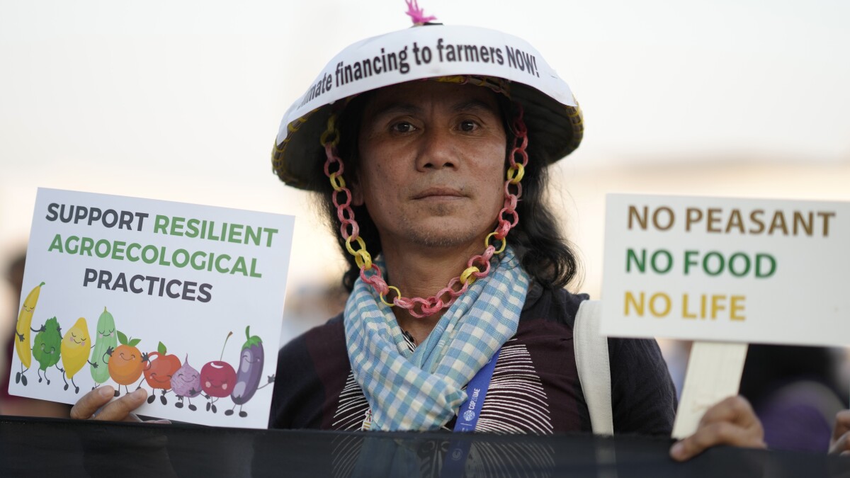 Experts say climate change threatens America's food supply. Can farmers in  the Mississippi Delta save it? - CBS News