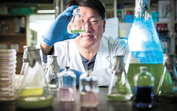 The representative of Green Minerals, Kwanghwan Jung, professor at Sogang University.