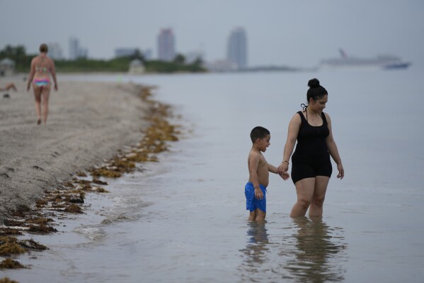 Beachgoers wade in the ocean at Crandon Park, Friday, July 28, 2023, in Key Biscayne, Fla. Humans naturally look to water for a chance to refresh, but when water temperatures get too high, some of the appeal is lost. (AP Photo/Rebecca Blackwell)