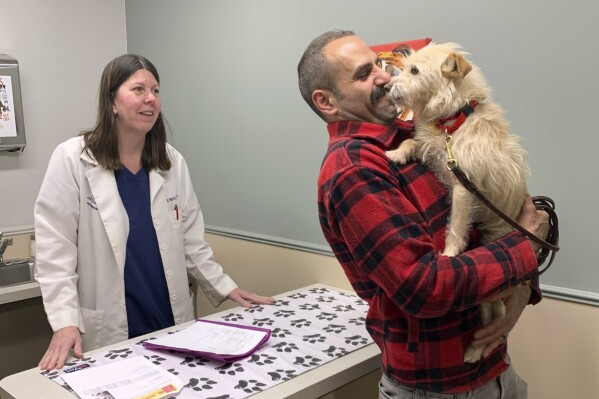 In this image provided by Corinne Martin, Mehrad Houman holds his dog, Mishka, after she was examined by veterinarian Nancy Pillsbury in Harper Woods, Mich., Friday, March 29, 2024. Mishka was discovered in suburban Detroit, eight months after disappearing in San Diego. (Corinne Martin via AP)