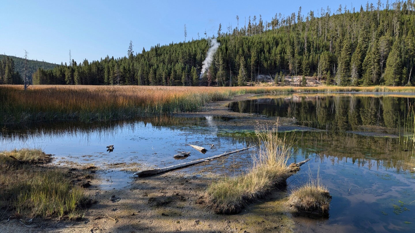A new thermal steam vent is grabbing attention in ever-changing Yellowstone National Park