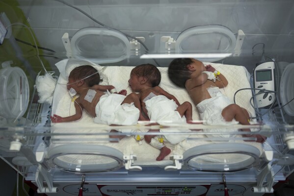 Babies are seen in an incubator at the preemie ward of the Emirati Hospital in Rafah, Gaza Strip, Friday, March 8, 2024. Sixteen premature babies have died of malnutrition-related causes over the past five weeks at the hospital, one of the senior doctors told The Associated Press. (AP Photo/Fatima Shbair)