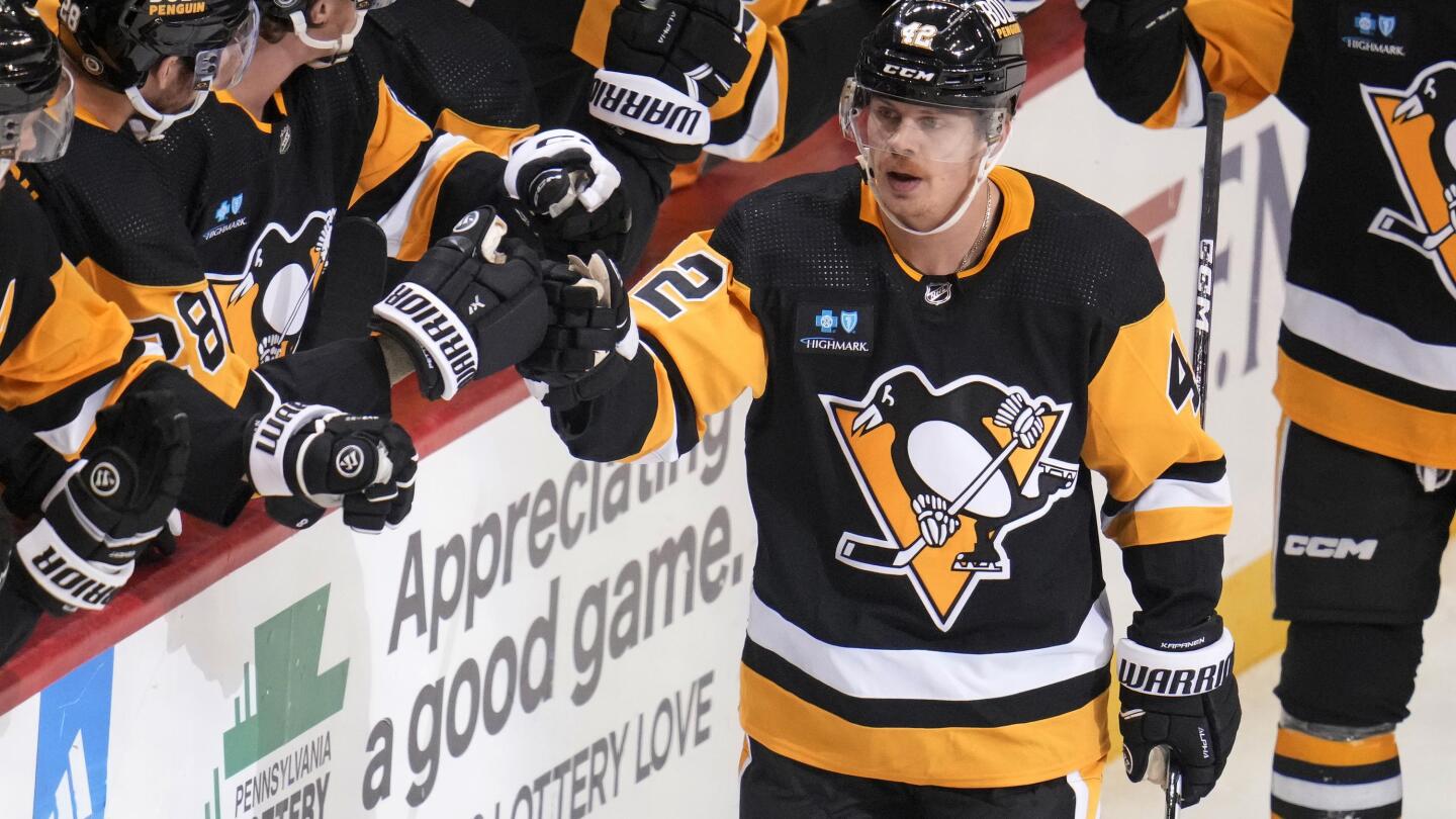 Pittsburgh Penguins Hat, Penguin Ice Hockey