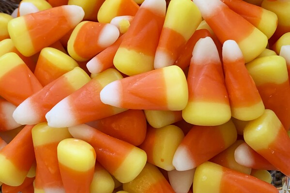 This image shows a pile of candy corn in Westchester County, N.Y. on Oct. 23, 2023. Cruel joke for trick-or-treaters or coveted seasonal delight? The great Halloween debate over candy corn is on. (AP Photo/Julia Rubin)
