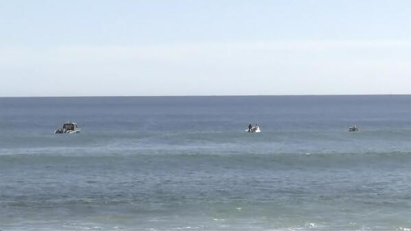 Shark attacks in spotlight after three surfers killed in South