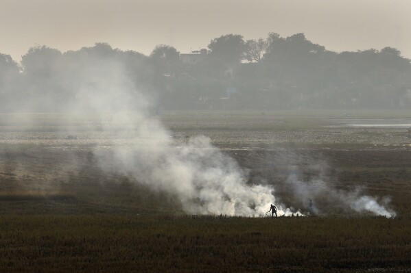 A farmer burns crop residue after harvest near Bundelkhand expressway some 330 kilometers (206 miles) from New Delhi, on Nov. 17, 2024. (AP Photo/Manish Swarup, File)