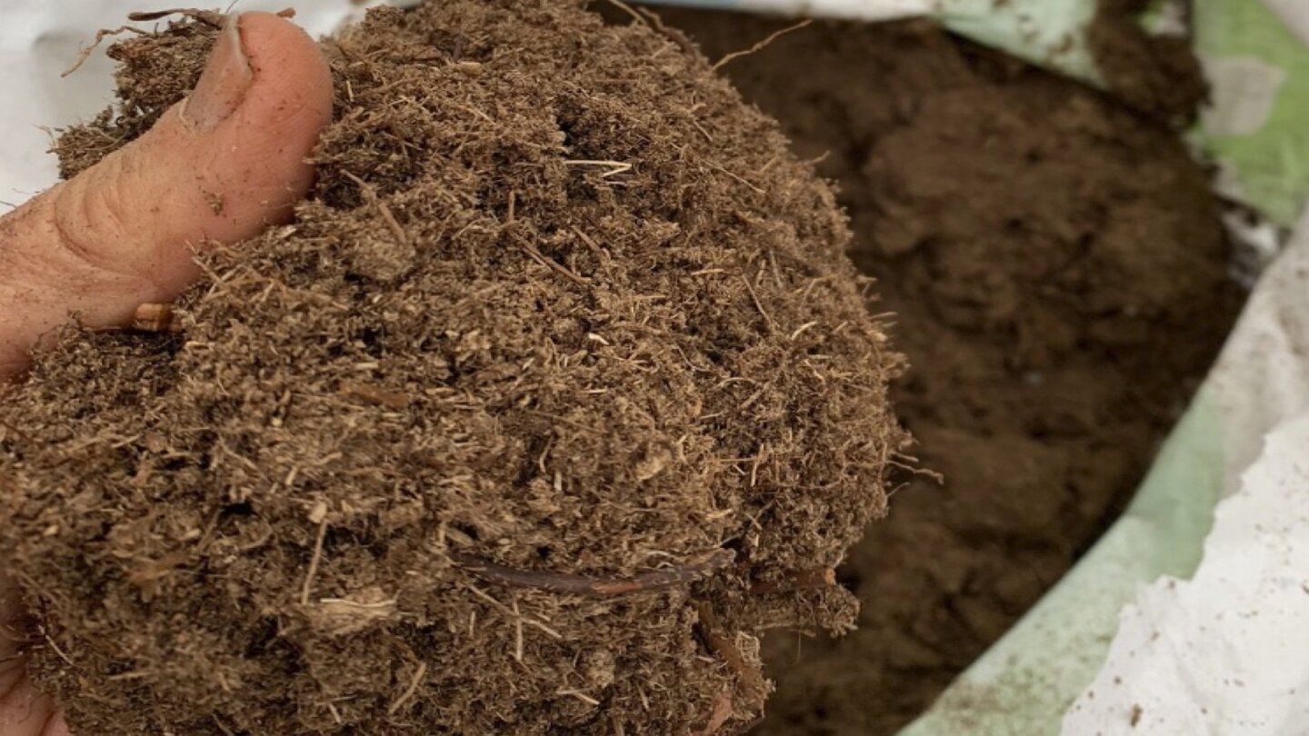 Peat Moss: A Sustainable Component of Growing Media