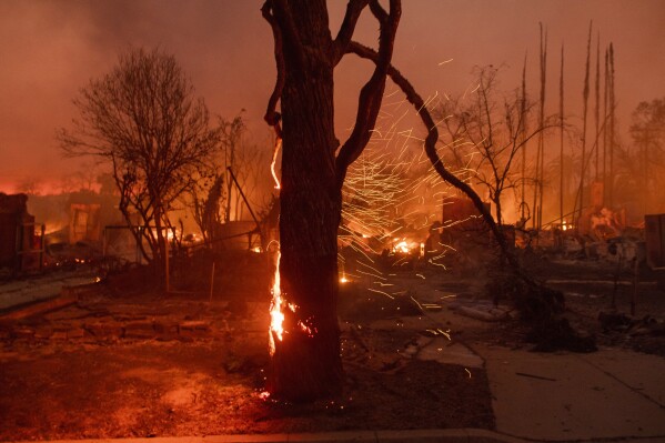 Embers are blown off a burning tree as the Eaton Fire burns in Altadena, Calif., Wednesday, Jan. 8, 2025. (AP Photo/Nic Coury)