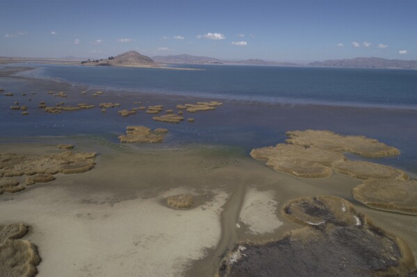 A partial view of Lake Titicaca in Huarina, Bolivia, Thursday, July 27, 2023. The lake's low water level is having a direct impact on the local flora and fauna and is affecting local communities that rely on the natural border between Peru and Bolivia for their livelihood. (AP Photo/Juan Karita)