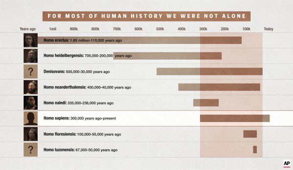 Ancient humans chart