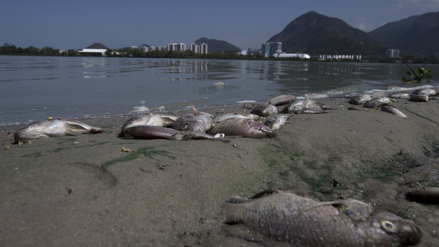 Закъснялото олимпийско обещание за възстановяване на лагуните в Рио де Жанейро най-накрая се оформя