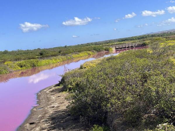 See the New Pink Water in Hawaii That Changed Color Over One Weekend -  Atlas Obscura