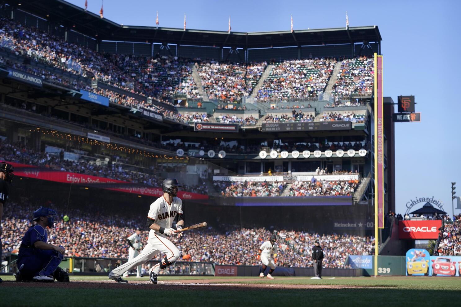 Ballpark Netting  Los Angeles Dodgers