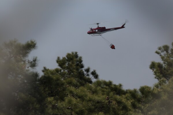 NJ Pine Barrens Fire: Arson Arrest Made