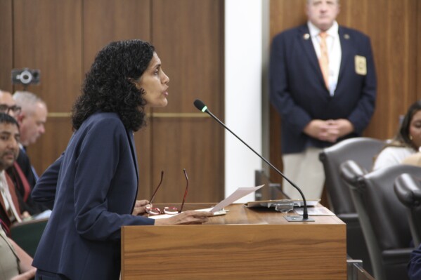 Sejal Zota, the legal director for the Just Futures Law advocacy group, voices opposition to the immigration-related bill during a state Senate judiciary committee hearing at the Legislative Office Building on Tuesday, April 30, 2024. The bill enforces compliance with federal immigration officers' requests to detain inmates for sheriffs and jail administrators. (AP Photo/Makiya Seminera)