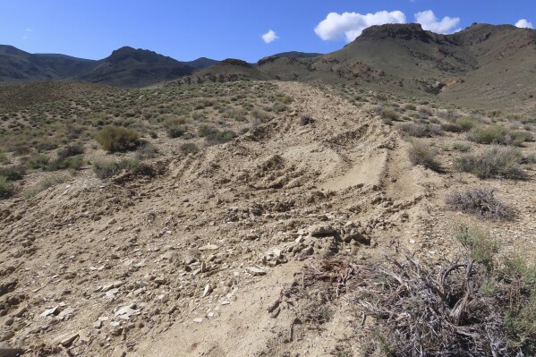 FILE - In this photo provided by the Center for Biological Diversity, Mining impacts to Tiehm's buckwheat habitat in the high desert in the Silver Peak Range of western Nevada about halfway between Reno and Las Vegas, June 1, 2019. (Patrick Donnelly/Center for Biological Diversity via AP, File)