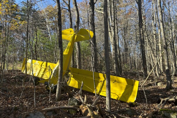 A yellow single-engine plane rests nose-down in a wooded area after crashing a mile away from Limington-Harmon Airport on Thursday, Nov. 16, 2013, in Limington, Maine. Medical personnel evaluated the pilot and he was eventually transported to the hospital for minor injuries. (Maine State Police via AP)